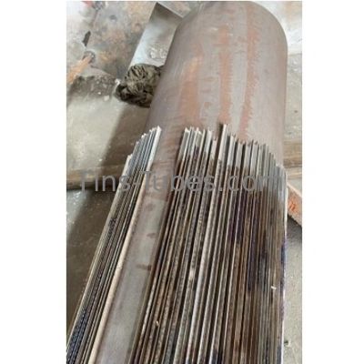 kaufen DELLOK ASTM A106 Seamless Steel Längsflossenröhre Online-Herstellung