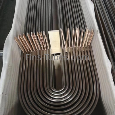 DELLOK SeamlessTreated U Bend Tube Bundle Heat Exchanger A179 Tubing